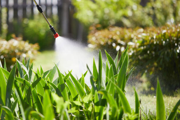 24/7 Emergency Wasp Removal experts in Douglasville, GA
